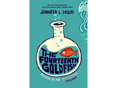 Book Cover for the Fourteenth Goldfish
