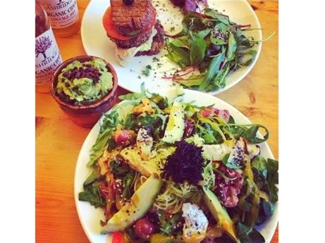 Wild Table Eating Wild Foods