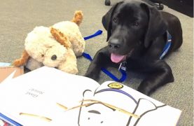 Assistance Dog with Book