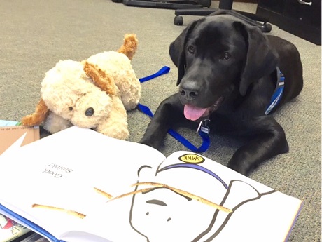 Assistance Dog with Book