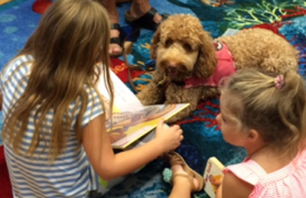 Girl reading to dog