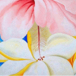 hibiscus_with_plumeria