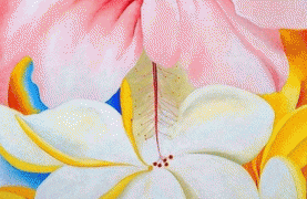 hibiscus_with_plumeria