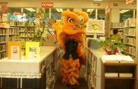 Chinese yellow lion dancers prance through library shelves