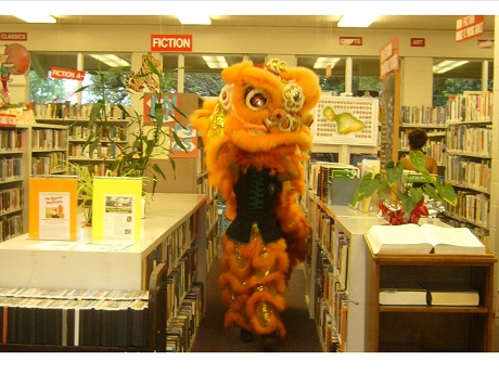 Chinese yellow lion dancers prance through library shelves