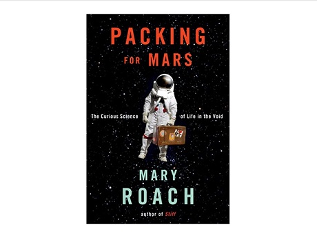 Book Cover: astronaut with an old briefcase