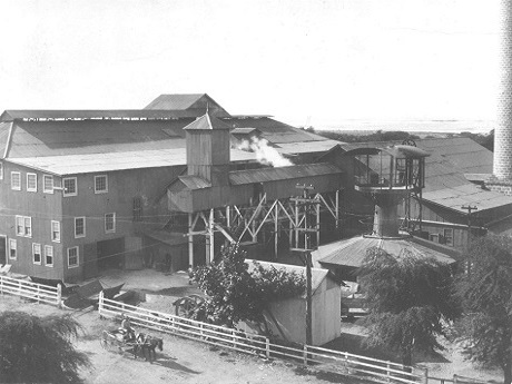 Kekaha Sugar Mill 1899