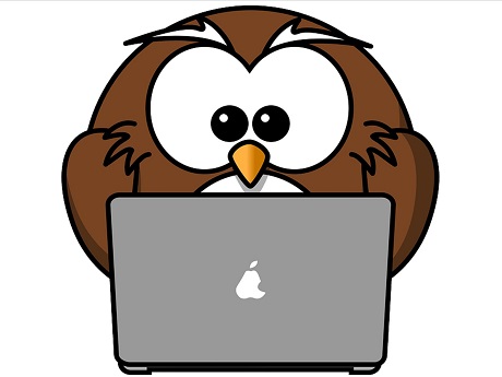 Cartoon owl using laptop.