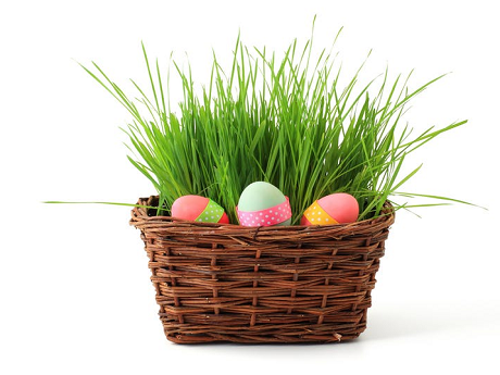 colored eggs and grass in a brown basket.