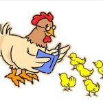Chicken reading to chicks