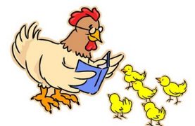 Chicken reading to chicks