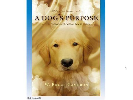 A Dog's Purpose movie poster