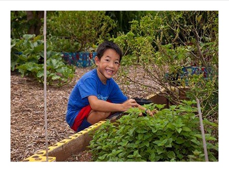 child in the garden