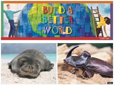 build a better world banner with coconut rhinoceros beetle image and monk seal image