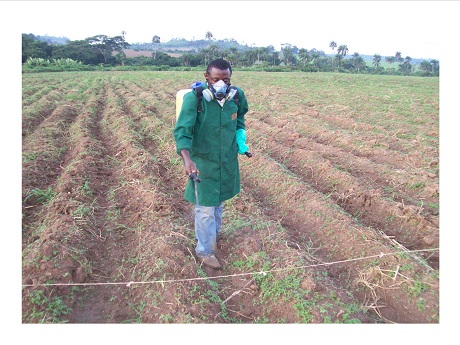 Person spraying farm crops