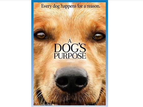 Movie Cover: A dog face covering the whole movie cover