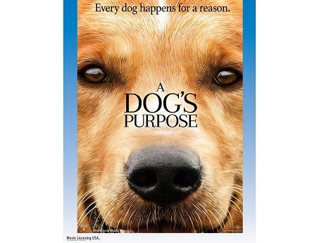 "A Dog's Purpose" movie poster