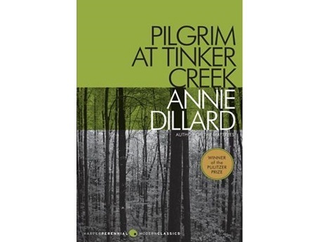 Pilgrim at the Tinker book cover