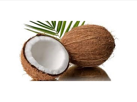 Going Coconuts!
