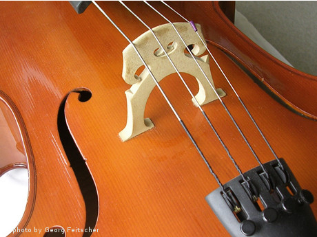 Photograph by Georg Feitscher of a cello close-up