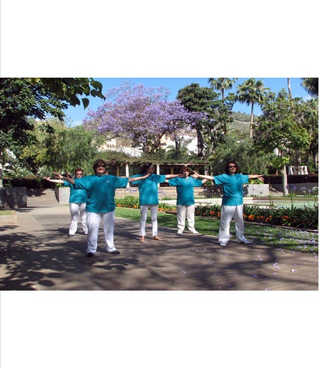 group of people doing Luk Tung Kuen exercises