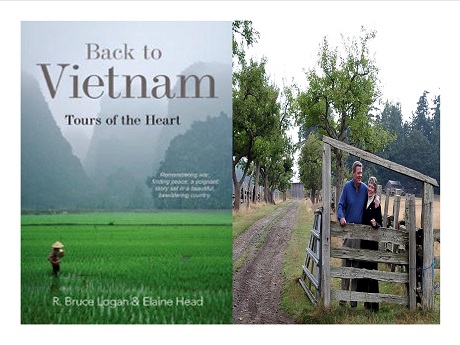 Book cover of Back to Vietnam, Tours of the Heart