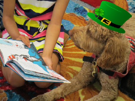 Dog with green hat with shamrock being read to.