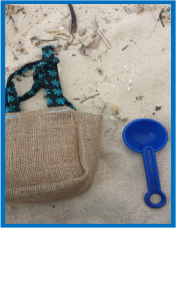 Beach Debris Bag