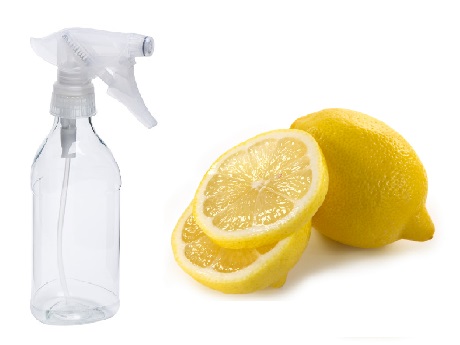 Spray bottle with lemons
