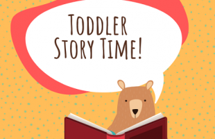 bear reading book