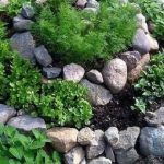rock garden