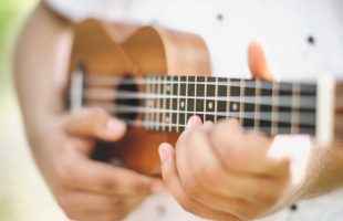 Musician Playing Ukulele Guitar