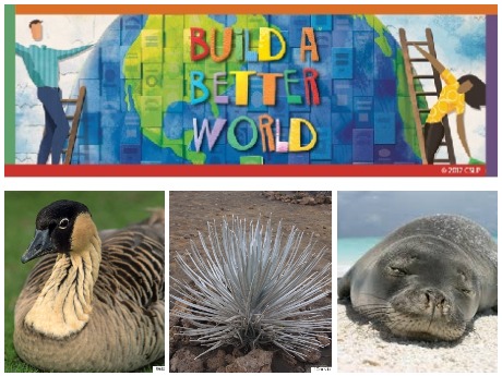 Pictures of a nene, sea urchin and monk seal with text Build a Better World