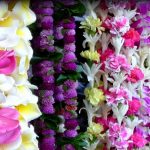 Strands of flower leis