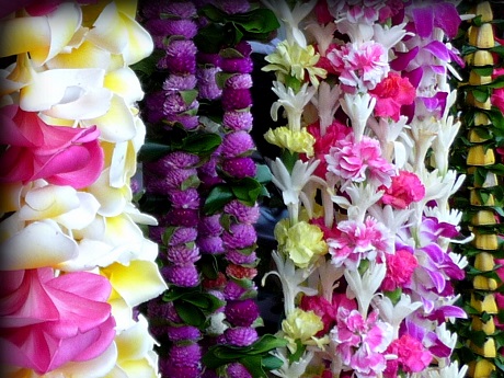 Strands of flower leis