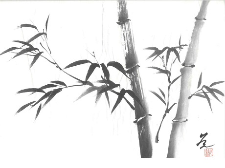 Bamboo plants