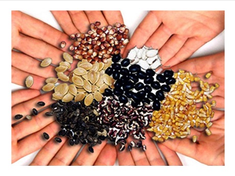 circle of hands holding seeds