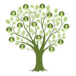Family tree