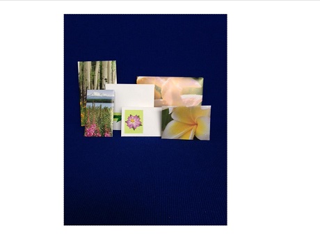 color photo of 6 "pochibukuro" Japanese gift envelopes
