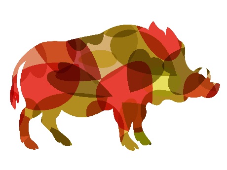 Chinese New Year Boar