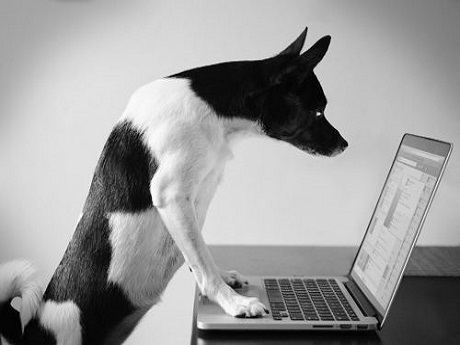computer learner