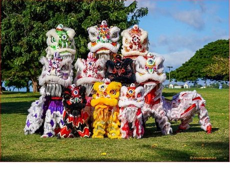 Asian Lion Dance Team