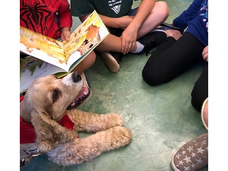 Read to a Dog