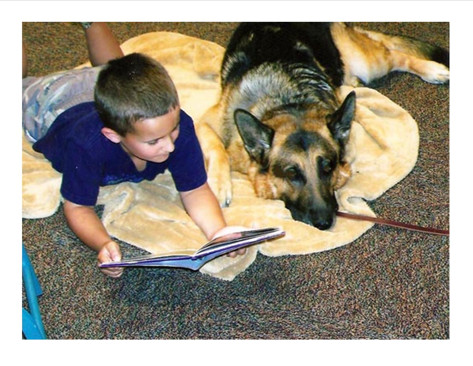 boy reading a book with a therapy dog