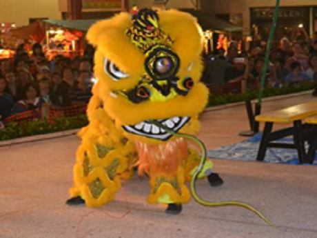 Chinese Lion Dance Association