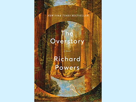 Cover art for the book The Overstory by Richard Powers, featuring stylized imagery of trees and concentric circles.