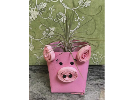 Tillandsia air plant in pig shaped vase