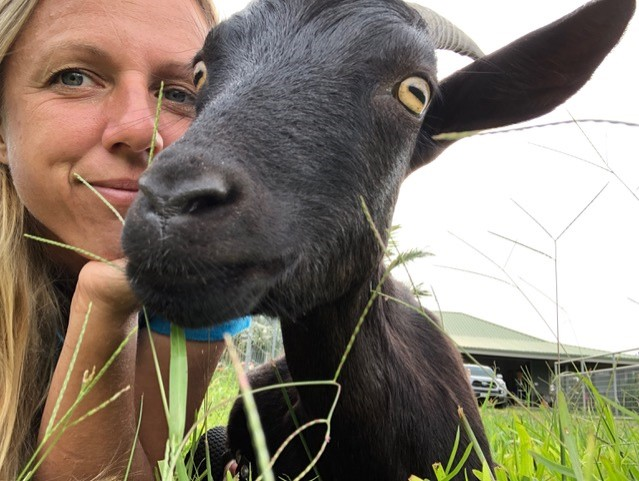 Closeup of a goat beside a lady