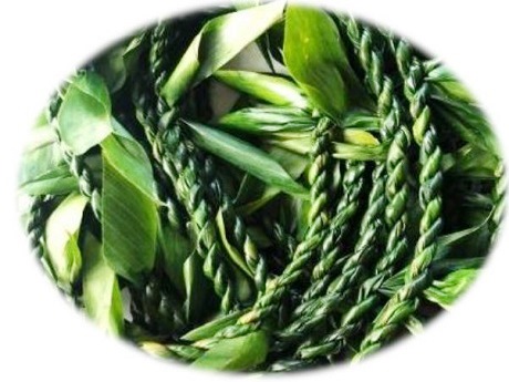 Bundle of Ti-leaf lei