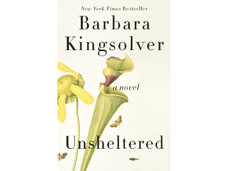 cover image of novel Unsheltered by Barbara Kingsolver